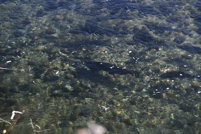 DSC_6521 (Large).JPG